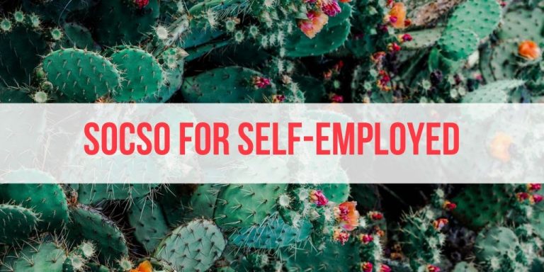 How to Register SOCSO Self-Employment Social Security Scheme [80%-100% Subsidy Available!]